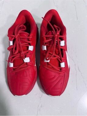 Nike Giannis Basketball Shoes